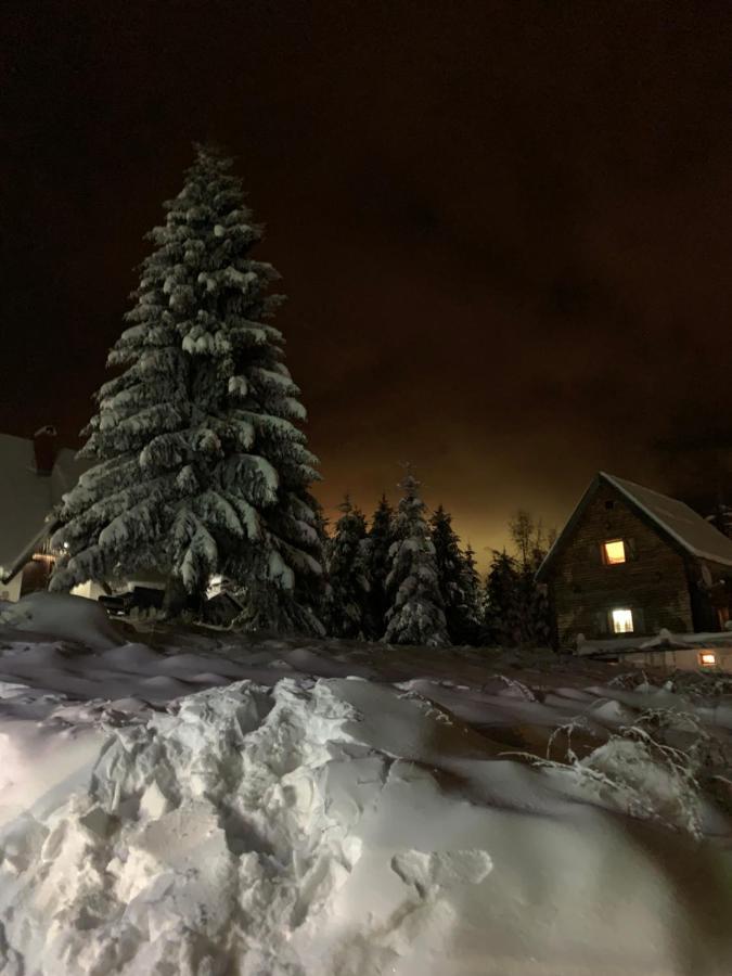 G&D Apartment Kopaonik Zewnętrze zdjęcie